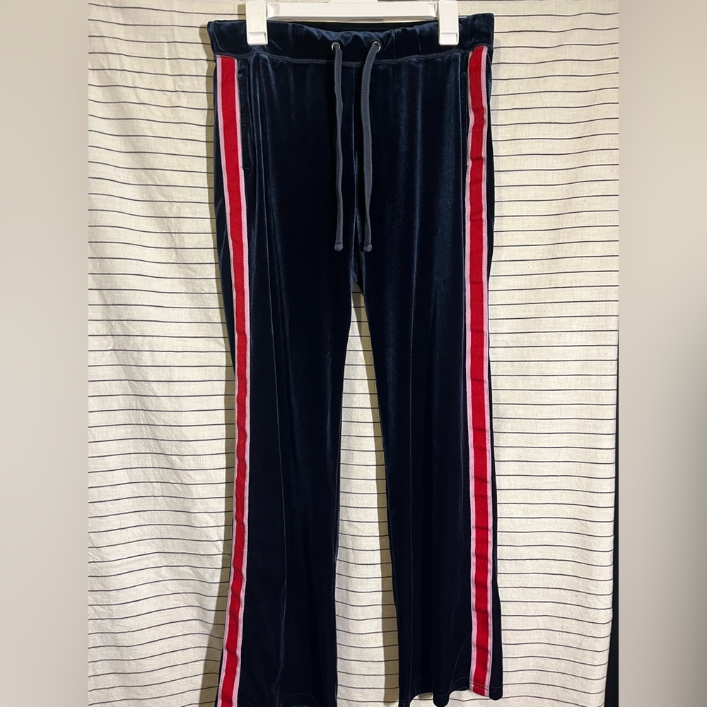 Abercrombie & Fitch Women’s Blue Velvet Pants | Size S